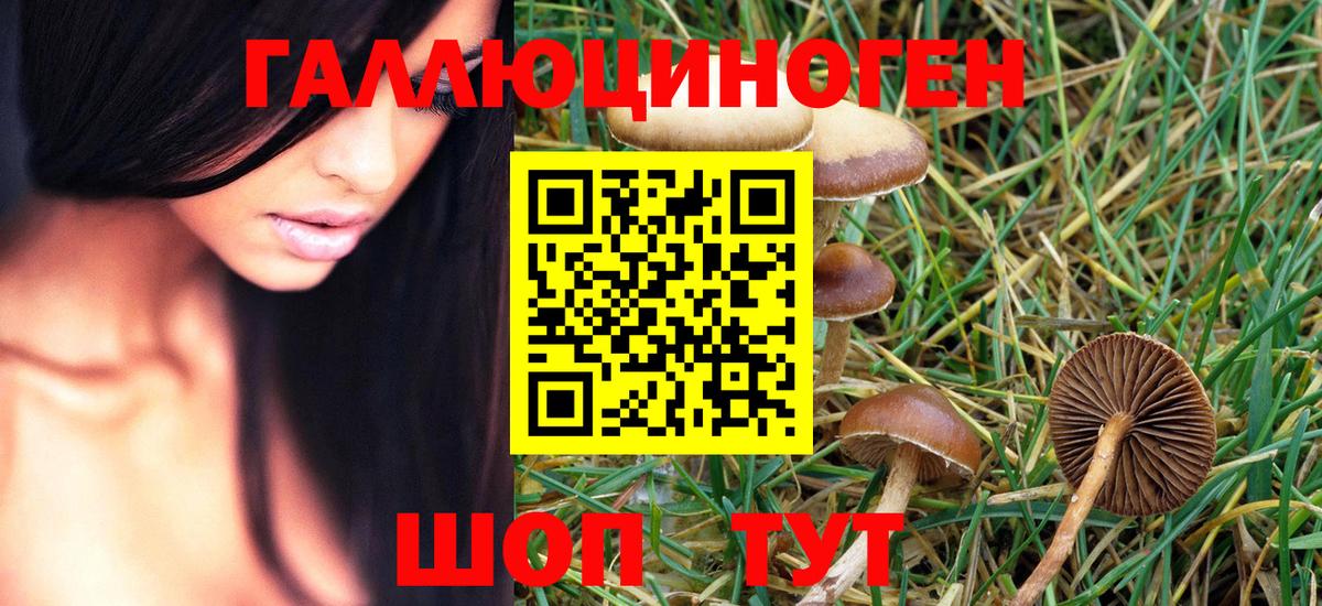 Галлюциногенные грибы MAGIC MUSHROOMS Кольчугино